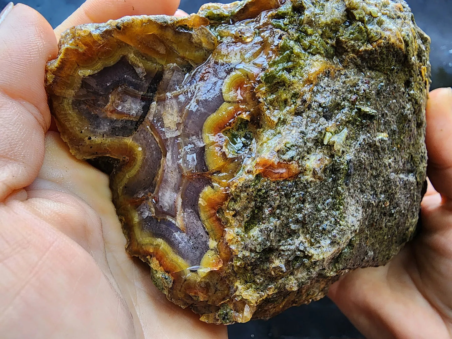 Agatized Wood Log : 4.6 lbs