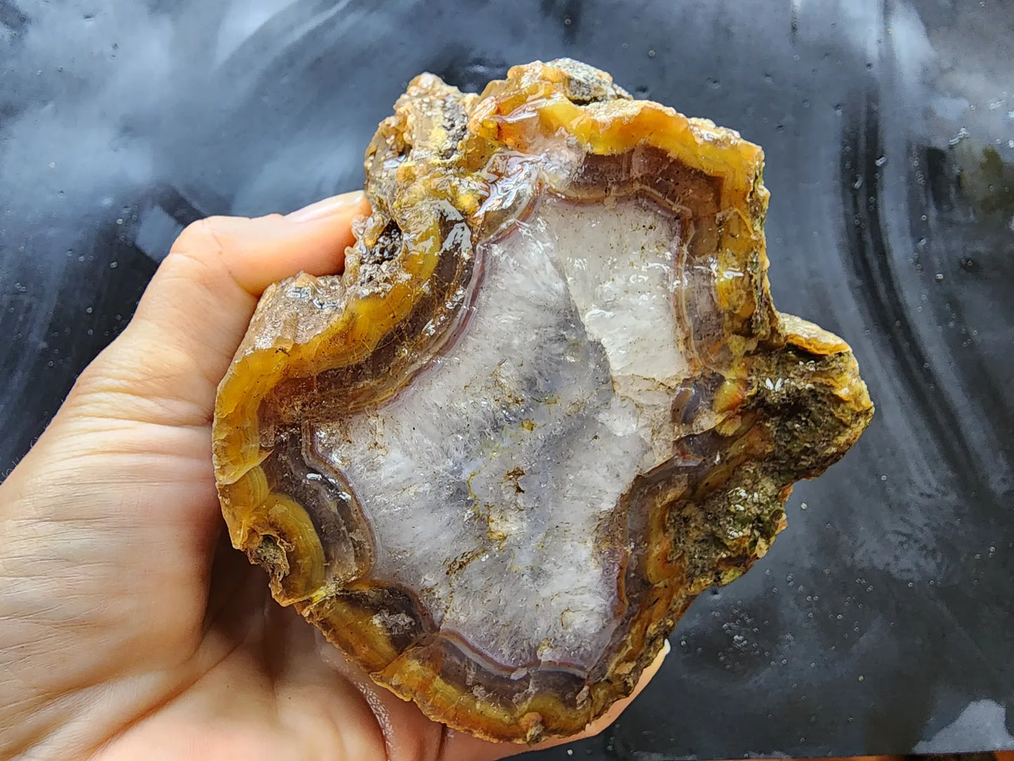 Agatized Wood Log : 4.6 lbs