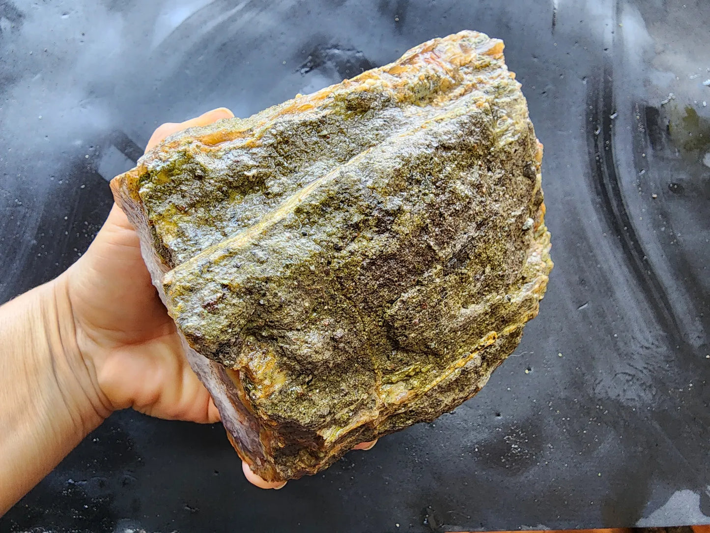 Agatized Wood Log : 4.6 lbs