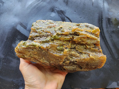 Agatized Wood Log : 4.6 lbs