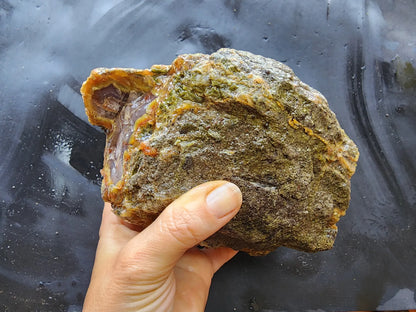 Agatized Wood Log : 4.6 lbs