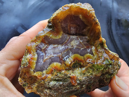 Agatized Wood Log : 4.6 lbs