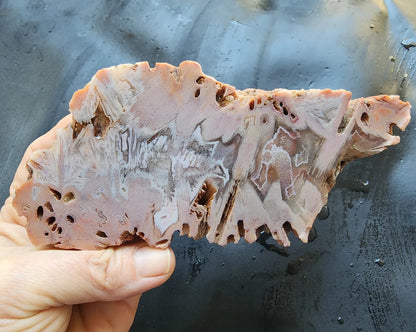 Large Decorative Rock