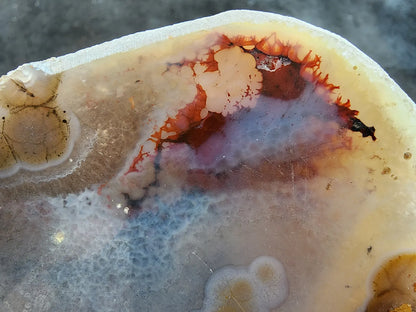 Polished Blue Agate Slab