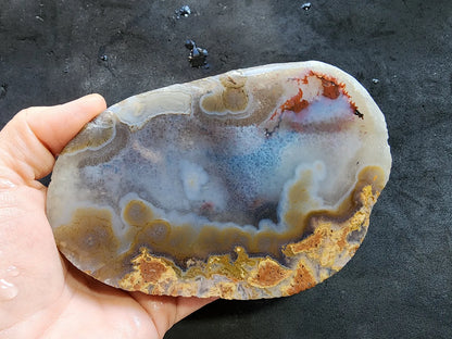 Polished Blue Agate Slab