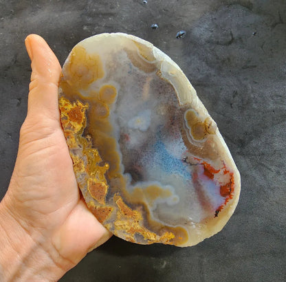 Polished Blue Agate Slab