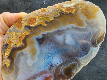 Polished Blue Agate Slab