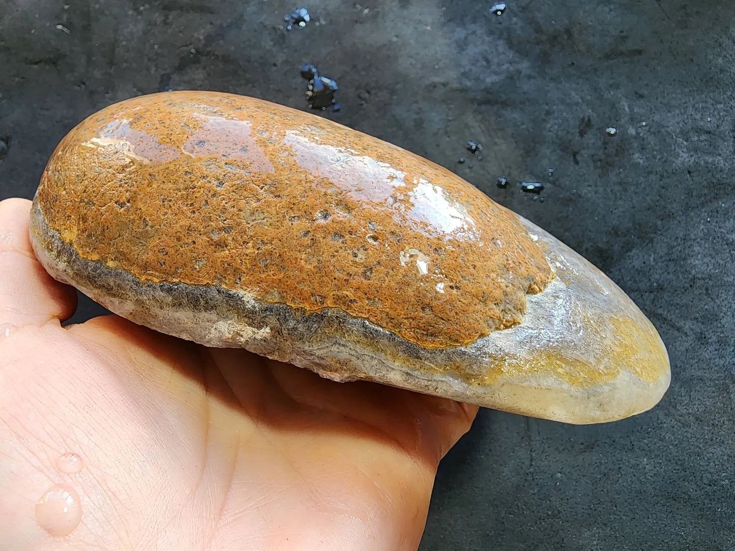 Polished Blue Agate Slab