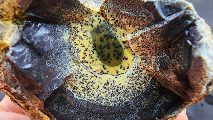 Yellow Dendritic Opal