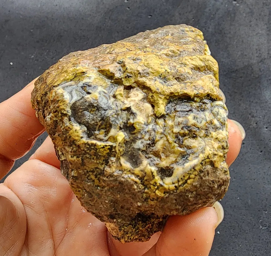 Yellow Dendritic Opal