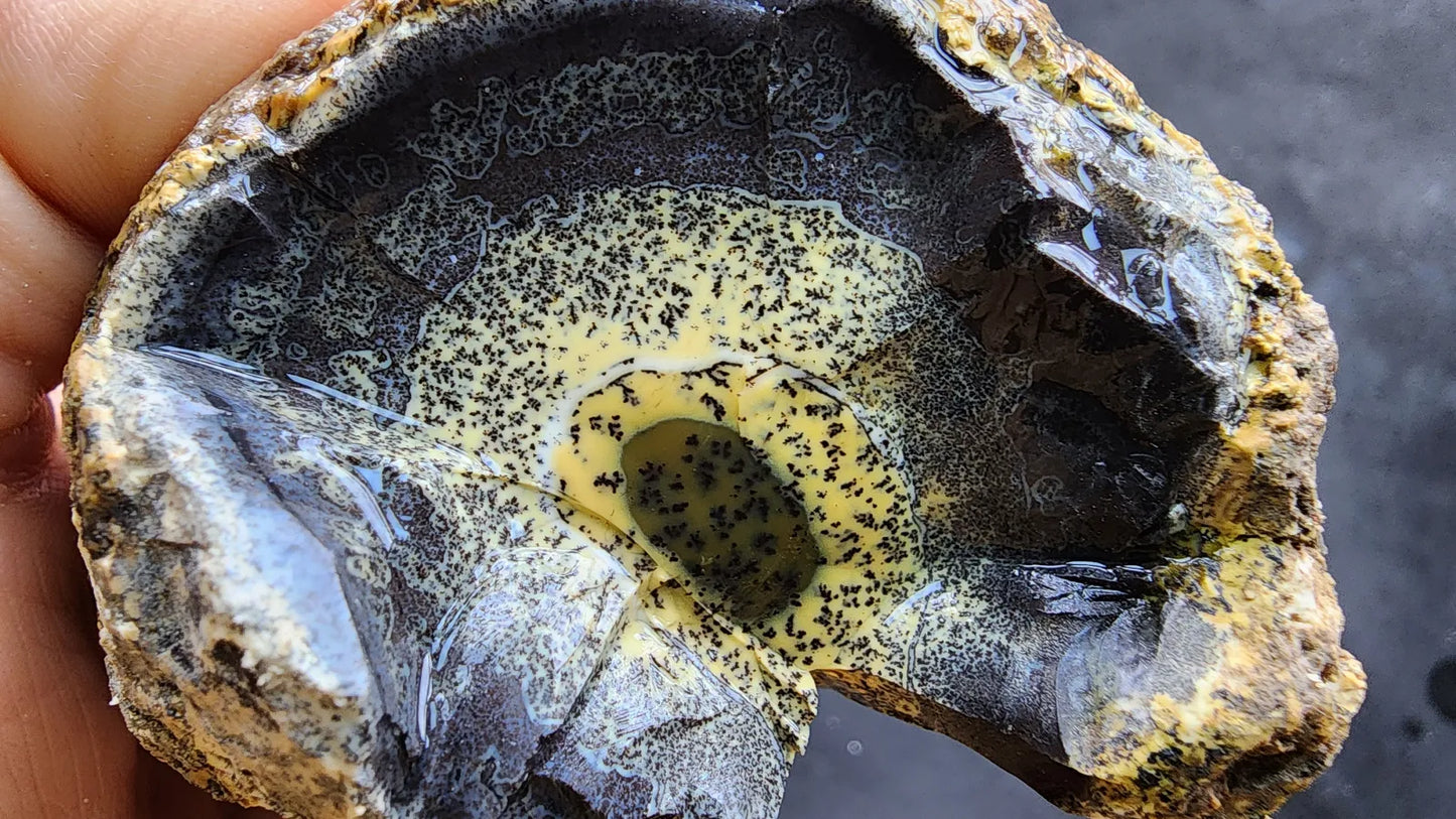 Yellow Dendritic Opal