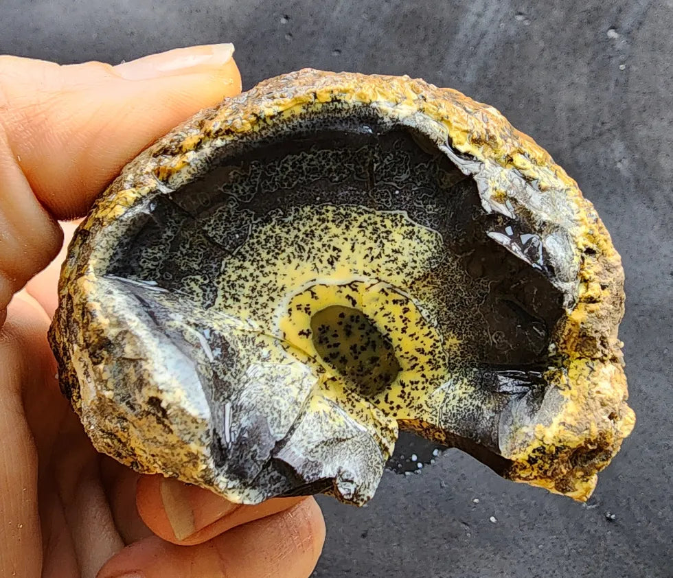 Yellow Dendritic Opal