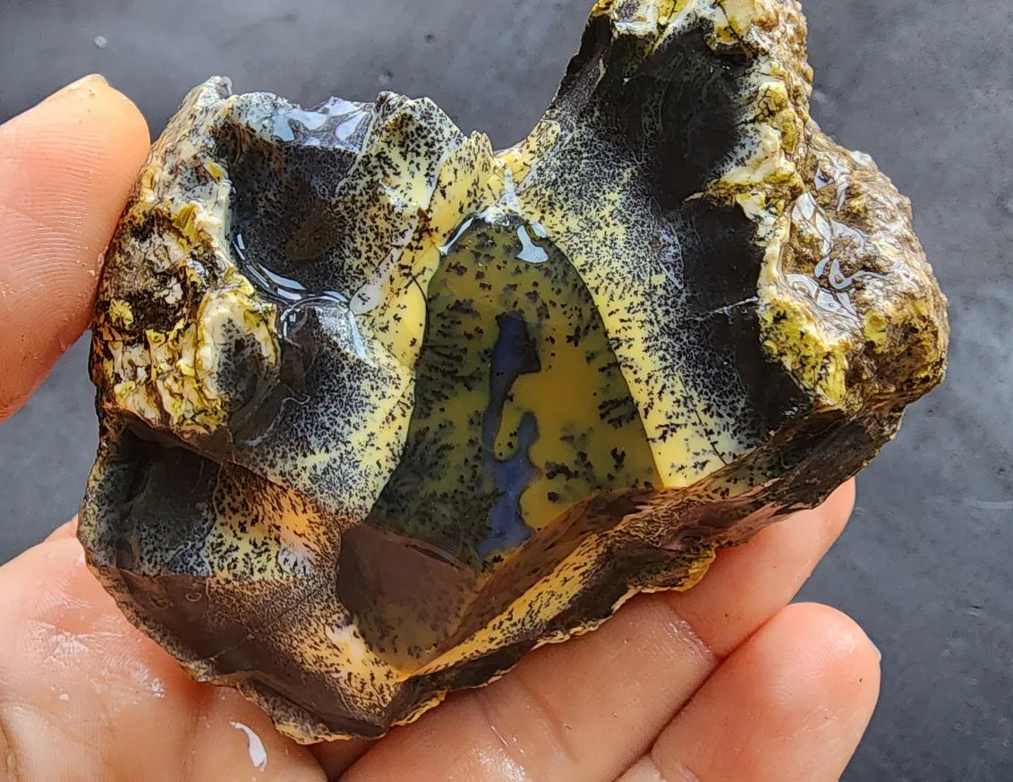 Yellow Dendritic Opal