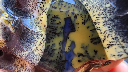 Yellow Dendritic Opal