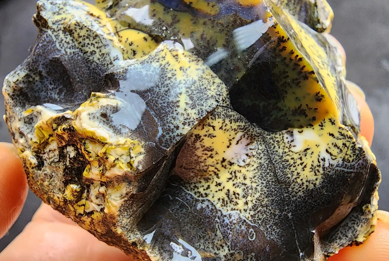 Yellow Dendritic Opal