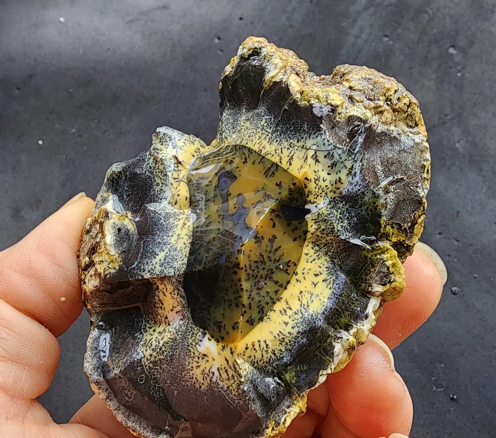 Yellow Dendritic Opal