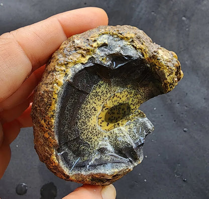 Yellow Dendritic Opal