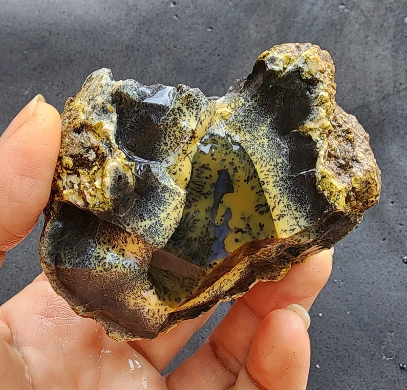 Yellow Dendritic Opal