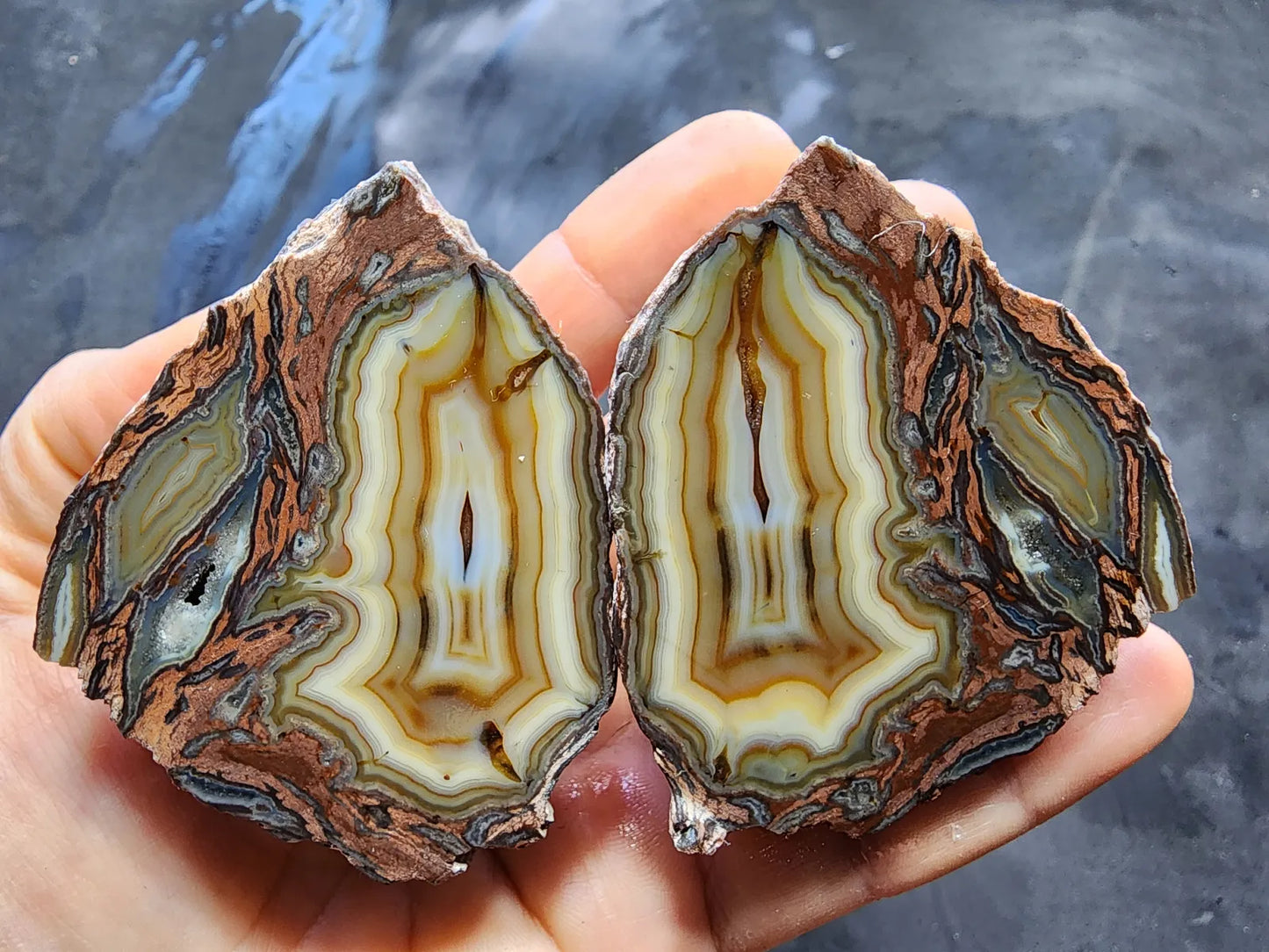 Collectible Agate