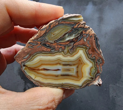 Collectible Agate