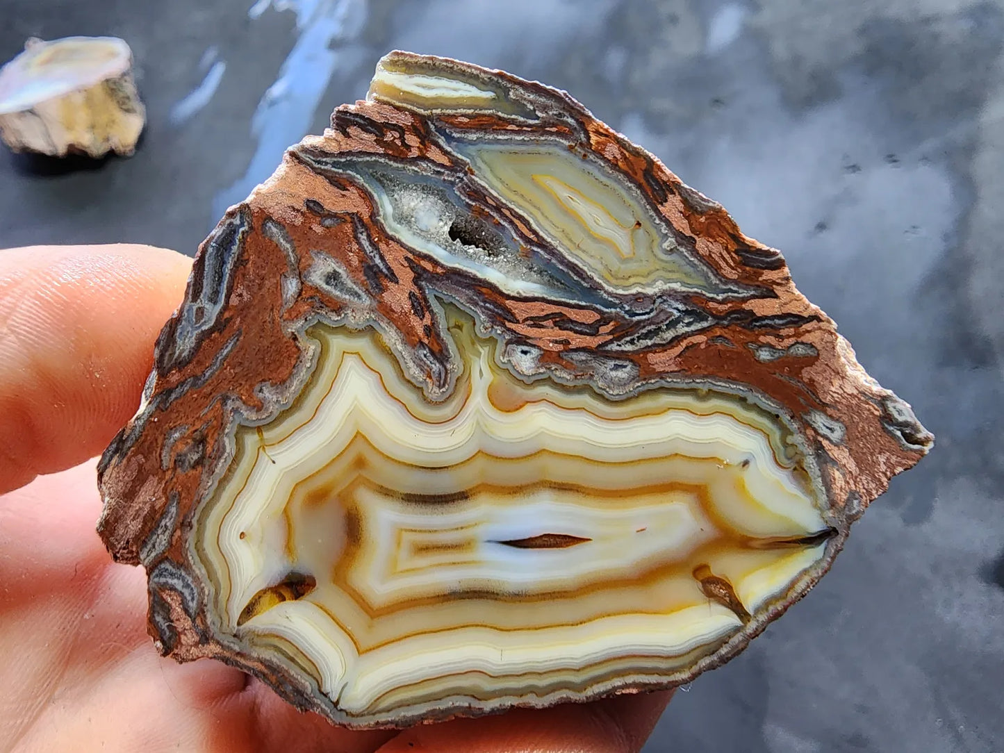 Collectible Agate