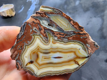 Collectible Agate