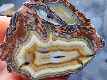 Collectible Agate