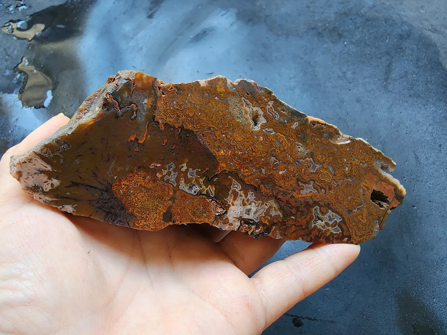 Plume Agate Pair