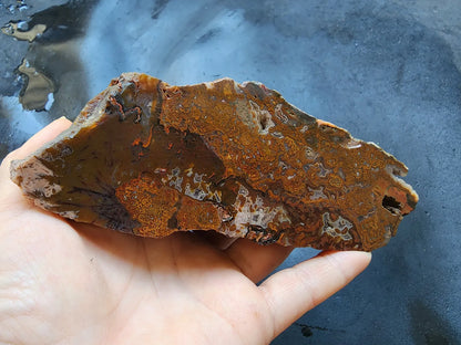 Plume Agate Pair