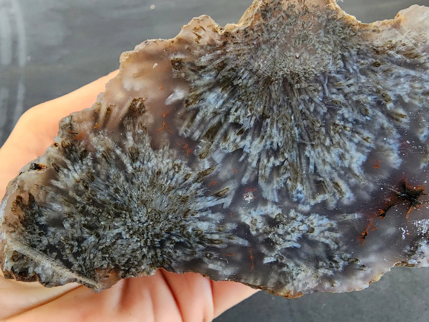 Sagenite Agate