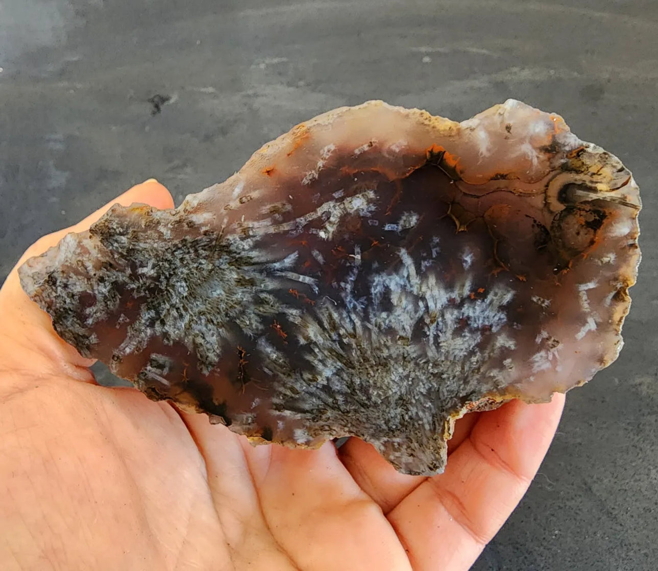 Sagenite Agate