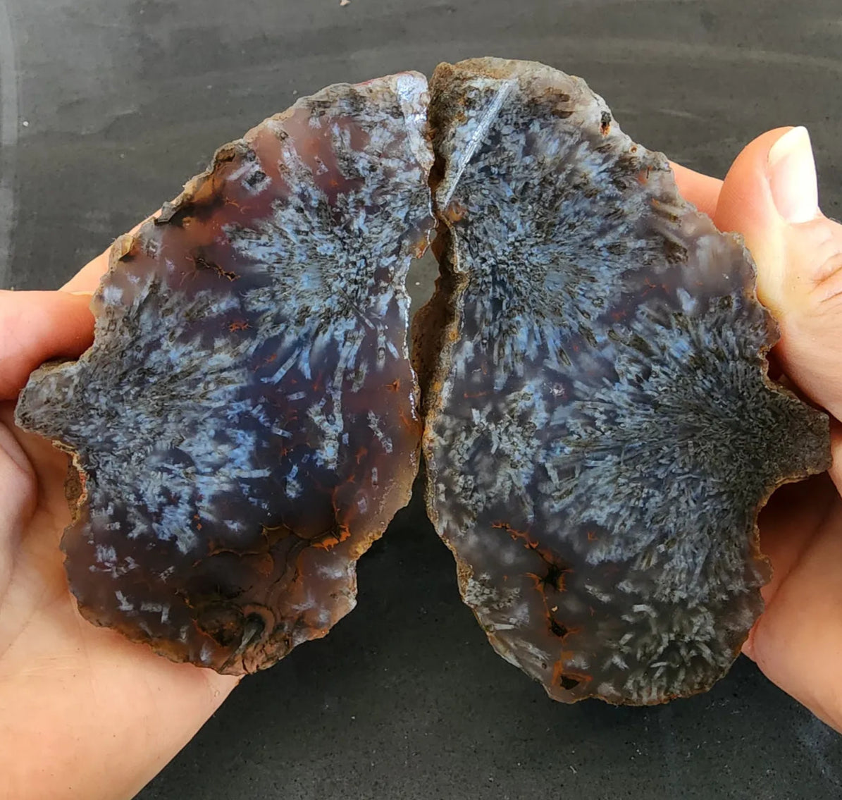 Sagenite Agate