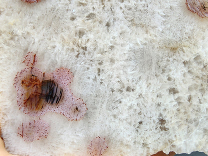 Crystal Stone - Eye Agate