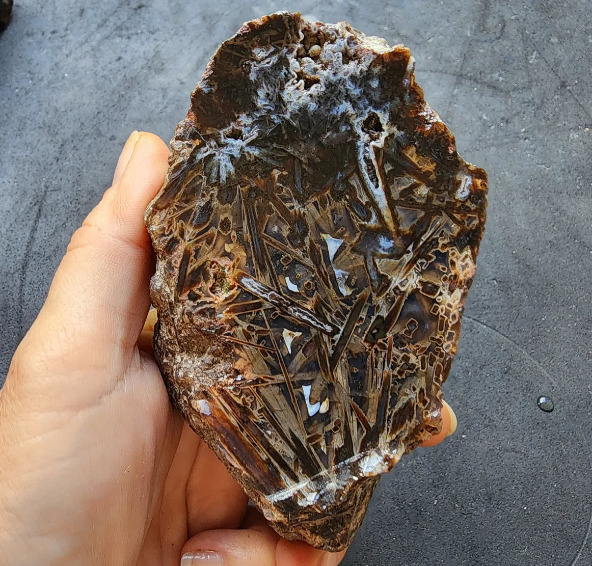 Rough Stick Agate