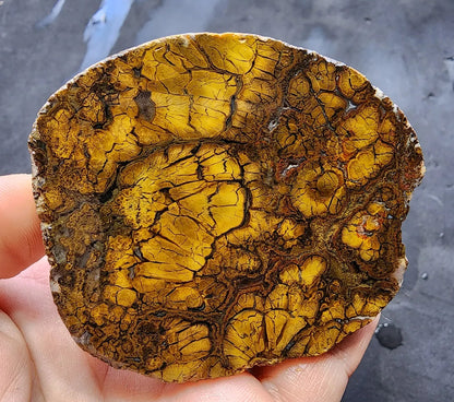 Rare Jasper Agate