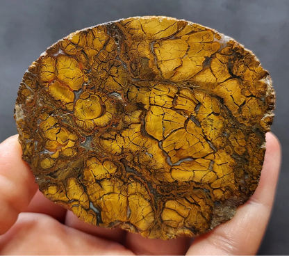 Rare Jasper Agate
