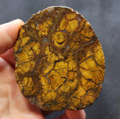 Rare Jasper Agate
