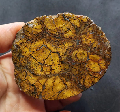 Rare Jasper Agate