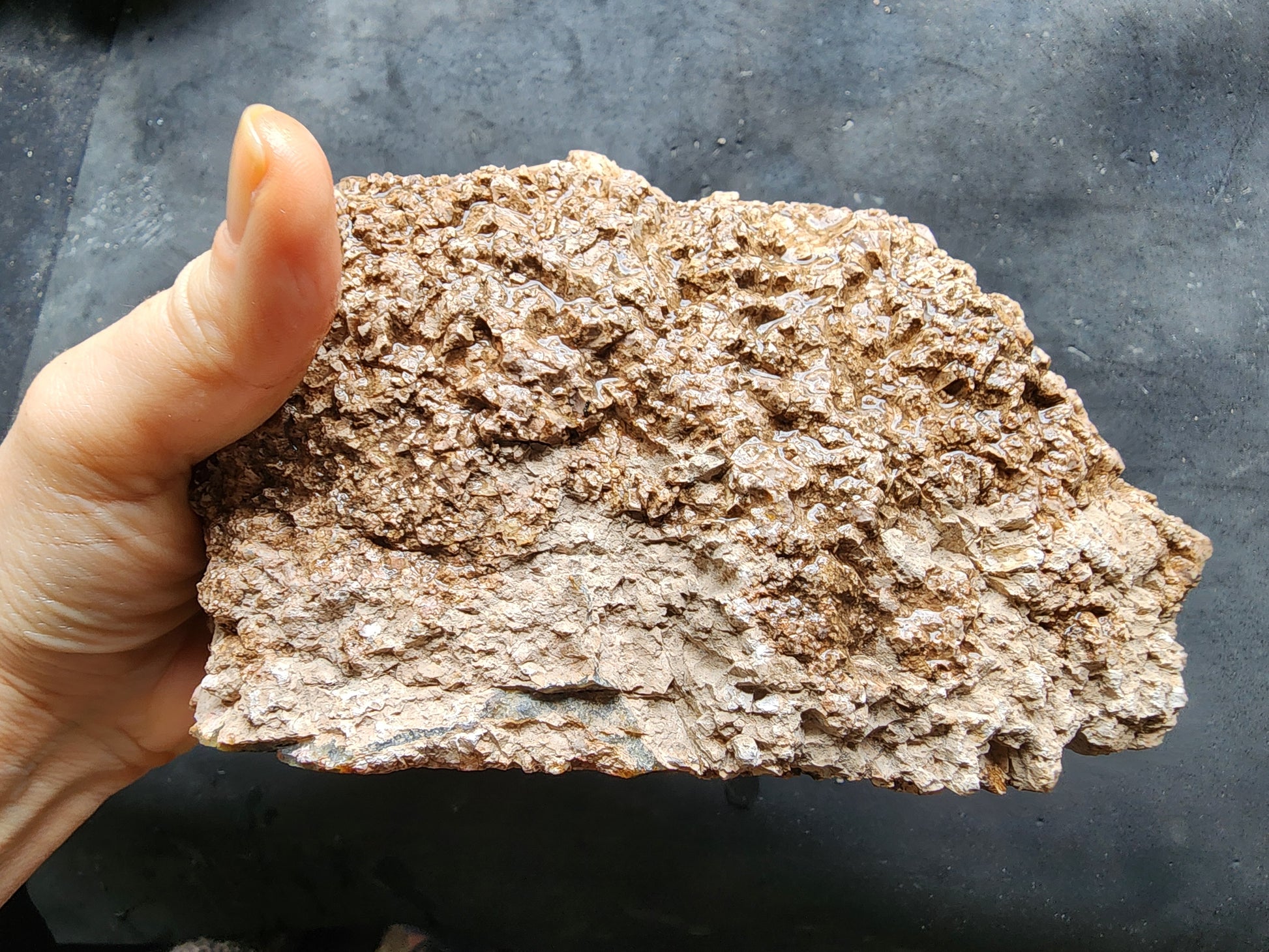 Collectible Thunderegg - #tag1# - #tag2# - #tag3# - #tag4#