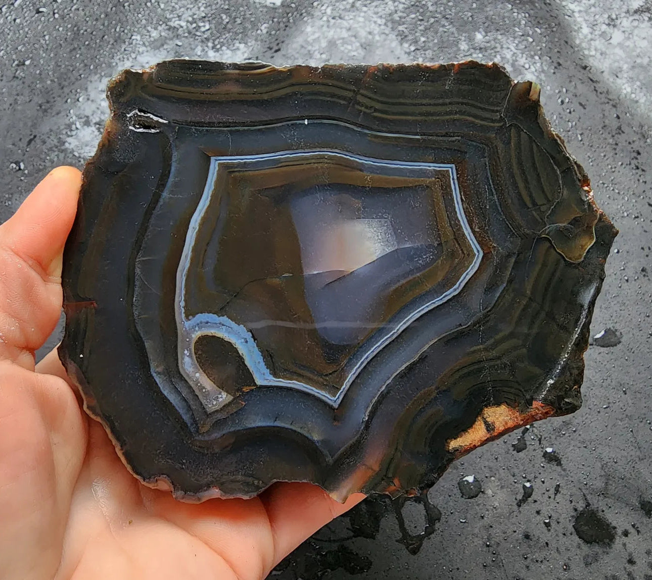 Pseudomorph Thunder Egg