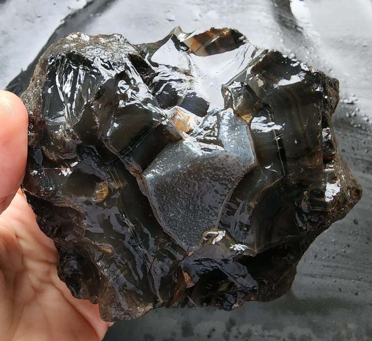 Pseudomorph Thunder Egg