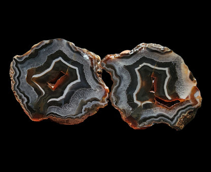 Fox Agate