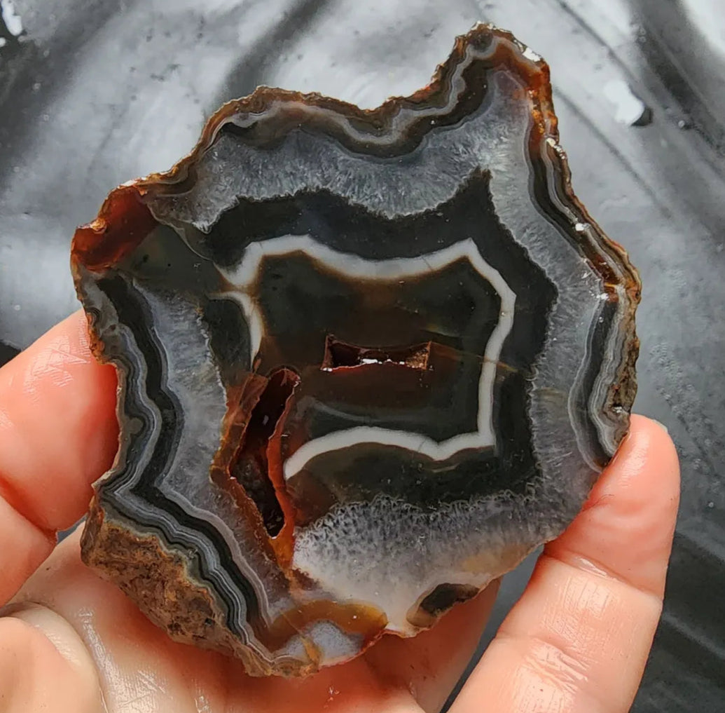 Fox Agate