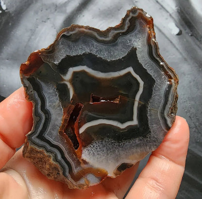 Fox Agate
