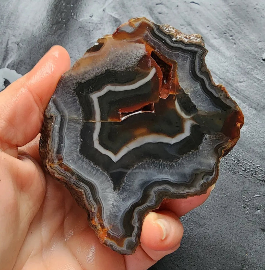 Fox Agate