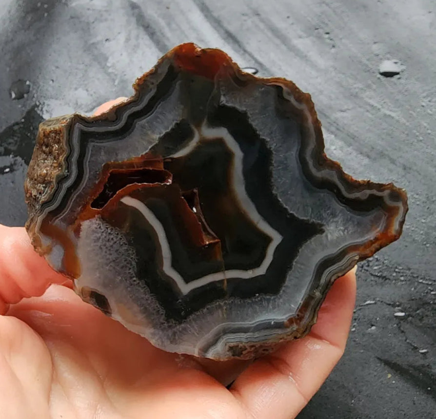 Fox Agate