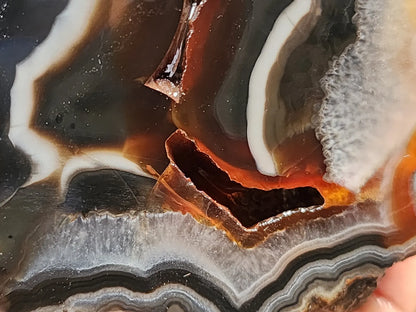 Fox Agate