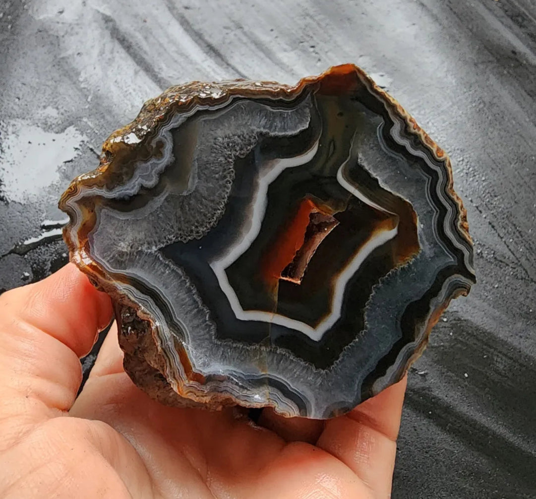 Fox Agate