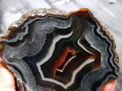 Fox Agate