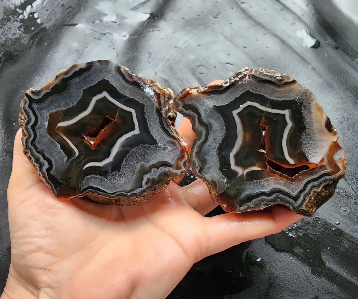 Fox Agate
